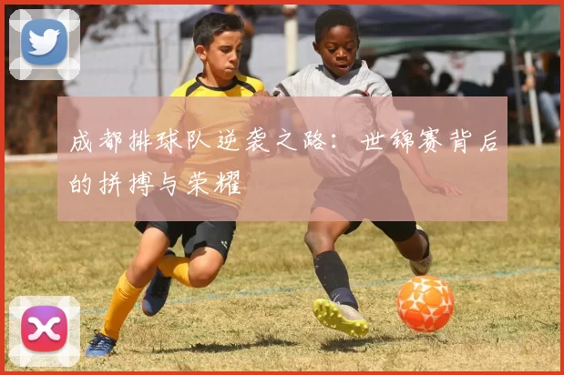 成都排球队逆袭之路：世锦赛背后的拼搏与荣耀