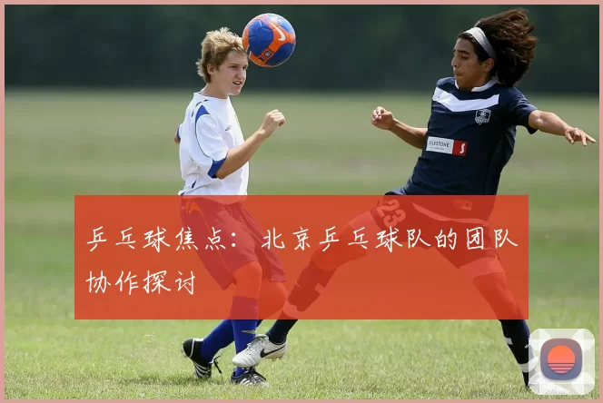 乒乓球焦点：北京乒乓球队的团队协作探讨
