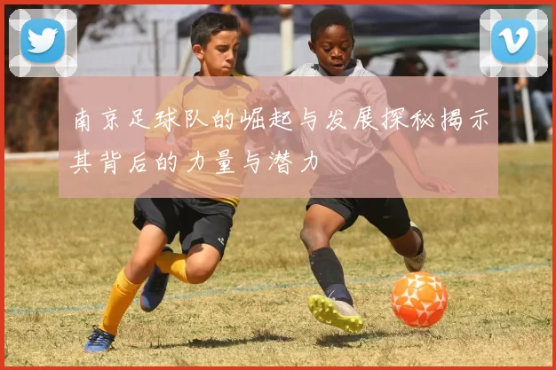 南京足球队的崛起与发展探秘揭示其背后的力量与潜力