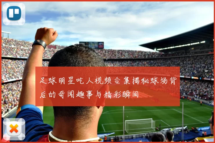 足球明星吃人视频合集揭秘球场背后的奇闻趣事与精彩瞬间